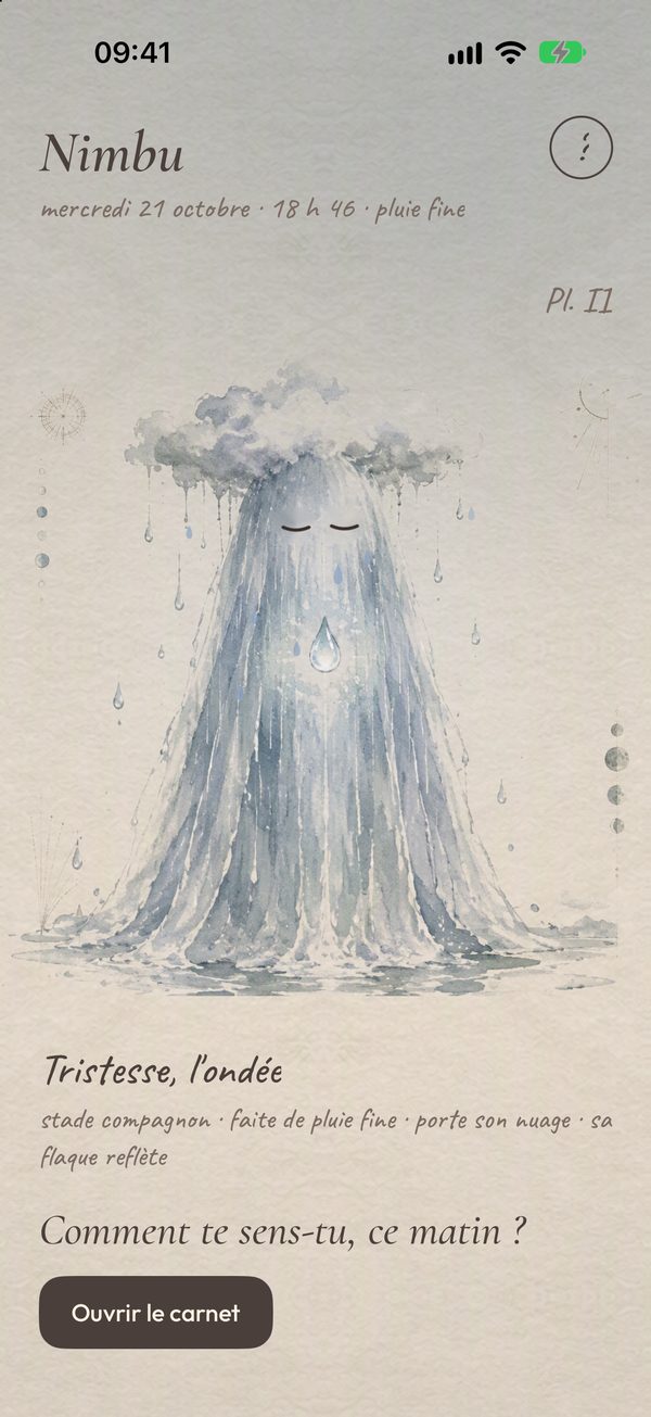 Nimbu : Tristesse, l'ondée, sous une pluie fine